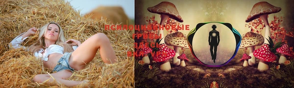 таблы Нефтегорск